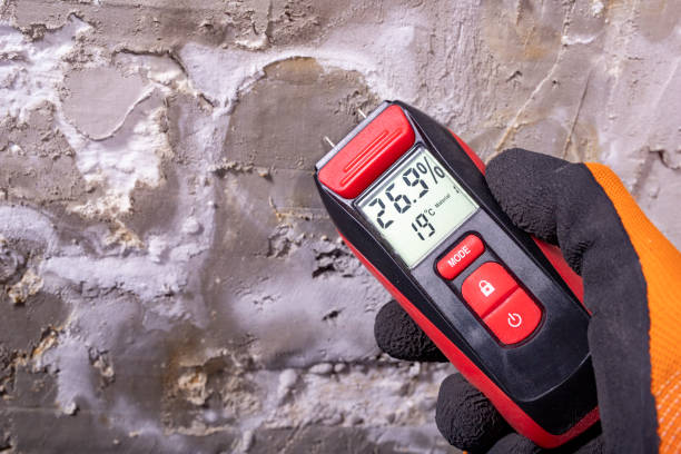 Best Mold Damage Repair  in Kennesaw, GA