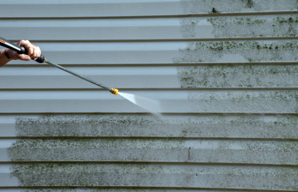 Mold Removal Process in Kennesaw, GA