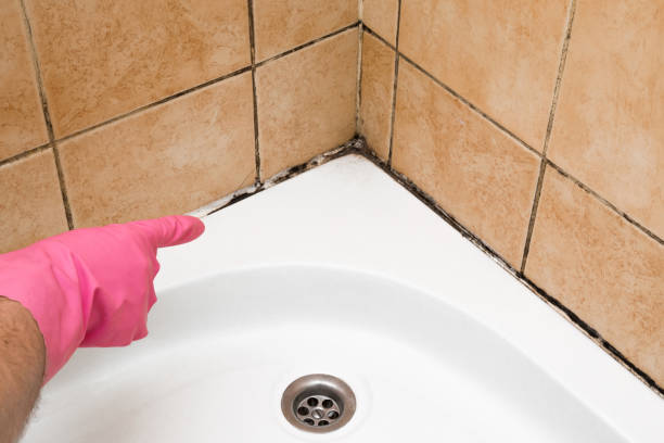 Best Mold Removal Process  in Kennesaw, GA